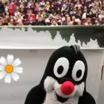 Kisvakond a nagyvárosban 6